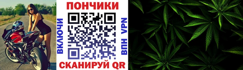 Конопля семена  Купить где  Емва 